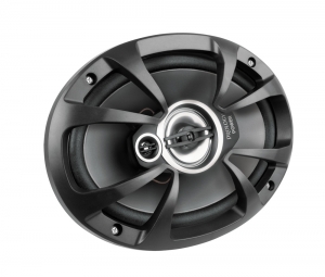 Акустическая система Prology PW-9 Prology PW-9. Технические характеристики PW-9.